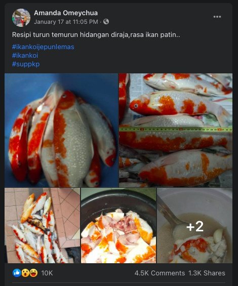 Amanda Omeychua đăng tải món ăn trong một group trên mạng xã hội khiến nhiều người phẫn nộ.